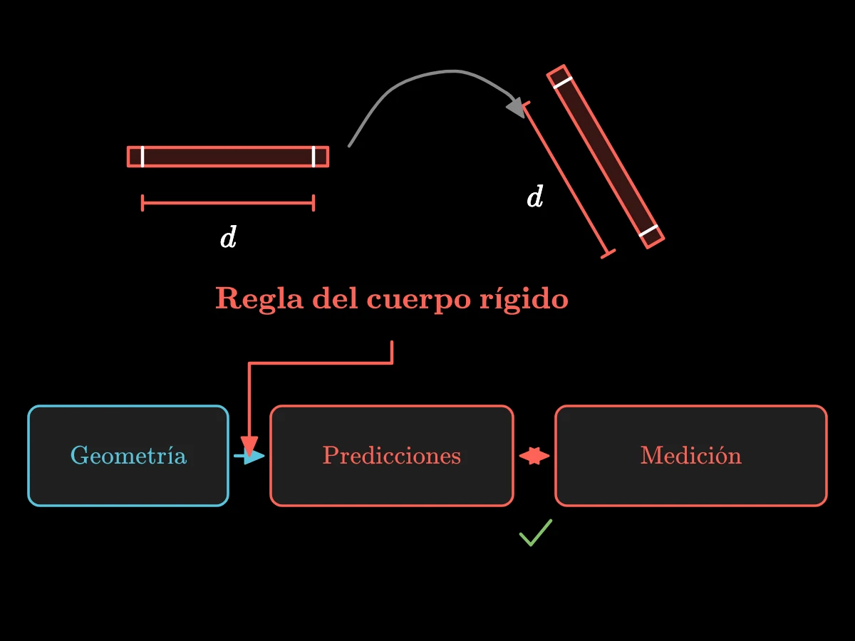 Dos posiciones de una varilla rígida conservan la distancia entre sus marcas, aportando la regla física que conecta las predicciones de la geometría con la medición.