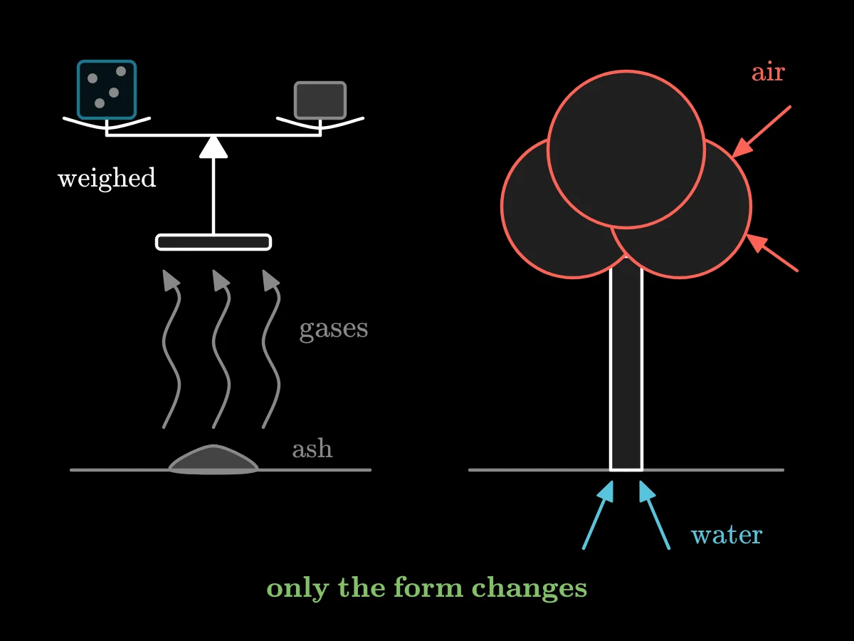 Left, a burning log becomes a little ash while arrows of smoke carry gases up and away; right, a seed becomes a tree while arrows bring in air through the leaves and water through the roots.