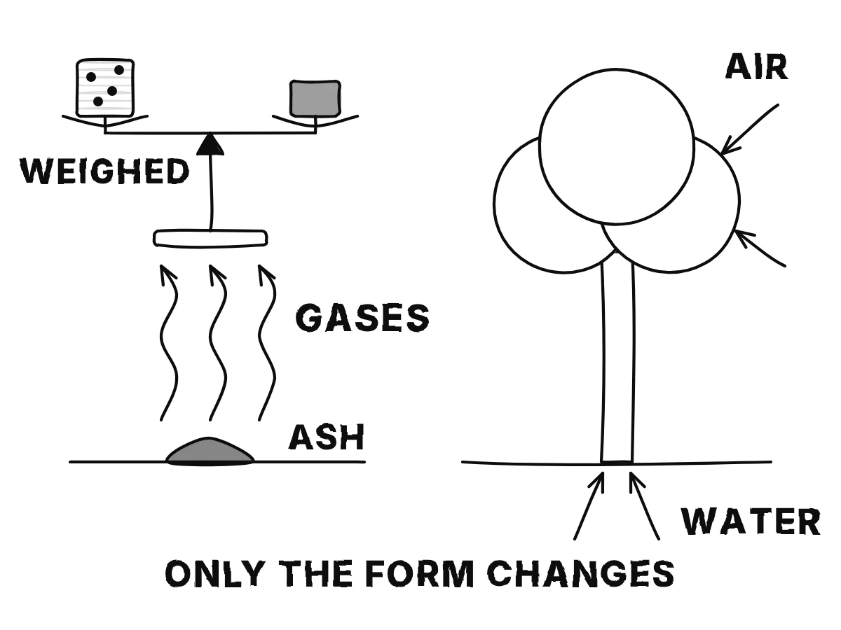 Left, a burning log becomes a little ash while arrows of smoke carry gases up and away; right, a seed becomes a tree while arrows bring in air through the leaves and water through the roots.