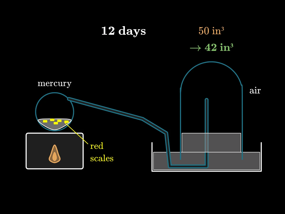 A retort with mercury over a furnace, its long bent neck rising into a bell jar standing in a dish of mercury; the air in the bell jar shrinks from 50 to 42 cubic inches while red scales form on the mercury.