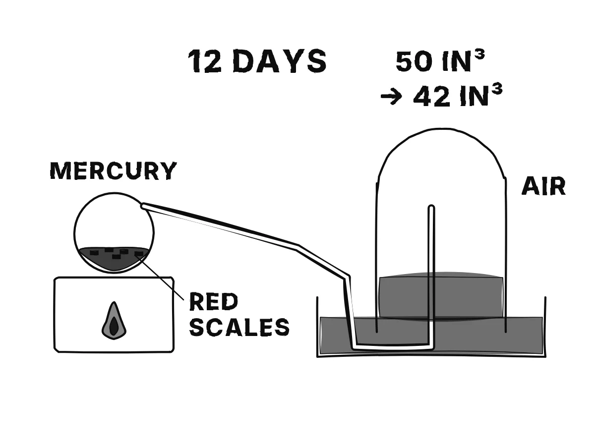 A retort with mercury over a furnace, its long bent neck rising into a bell jar standing in a dish of mercury; the air in the bell jar shrinks from 50 to 42 cubic inches while red scales form on the mercury.