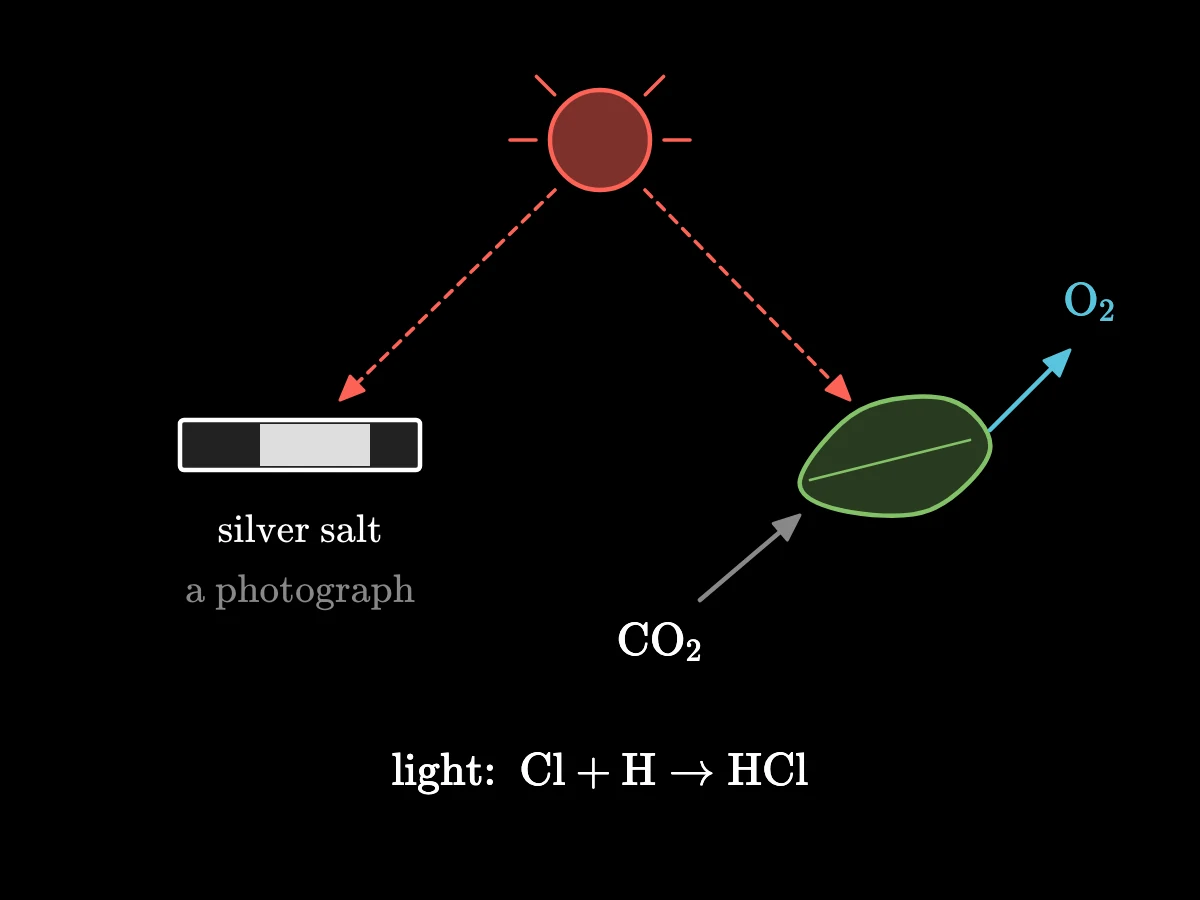 Left: light falls on a photographic plate of silver salt that darkens; right: a leaf in sunlight takes in carbonic acid gas and gives off oxygen.