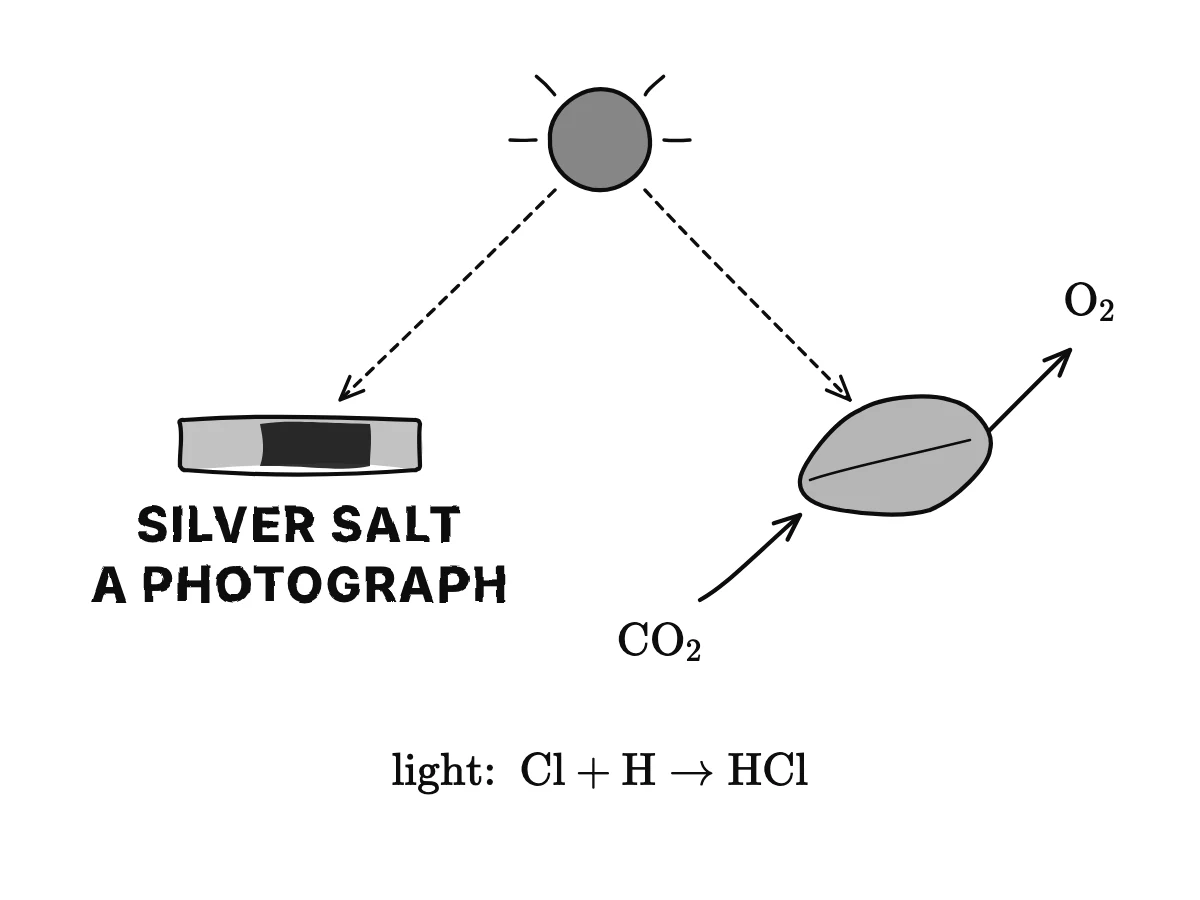 Left: light falls on a photographic plate of silver salt that darkens; right: a leaf in sunlight takes in carbonic acid gas and gives off oxygen.