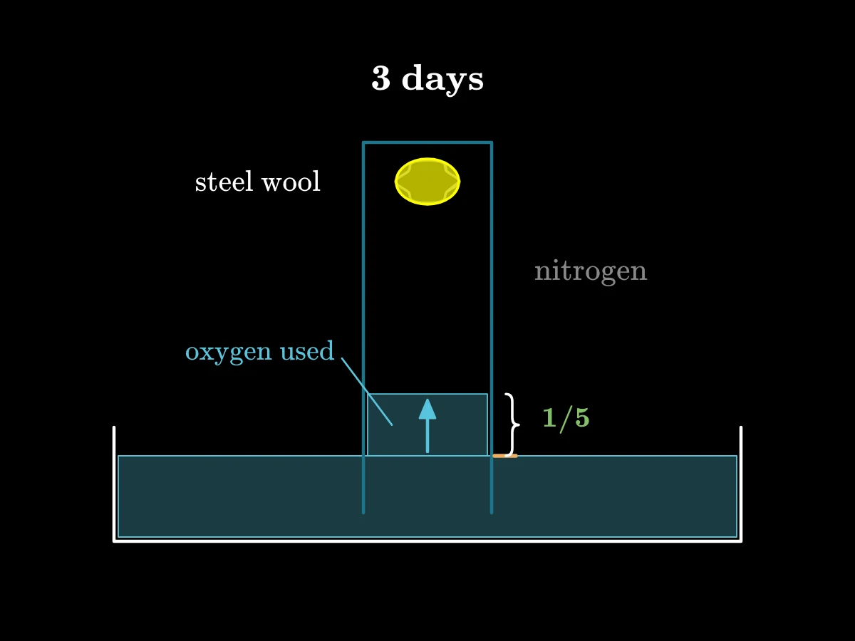 A narrow jar stands upside down in a dish of water with steel wool at its top; after days the wool rusts and the water rises a fifth of the way up.