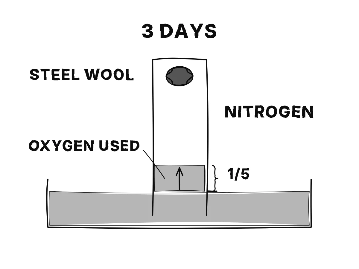 A narrow jar stands upside down in a dish of water with steel wool at its top; after days the wool rusts and the water rises a fifth of the way up.