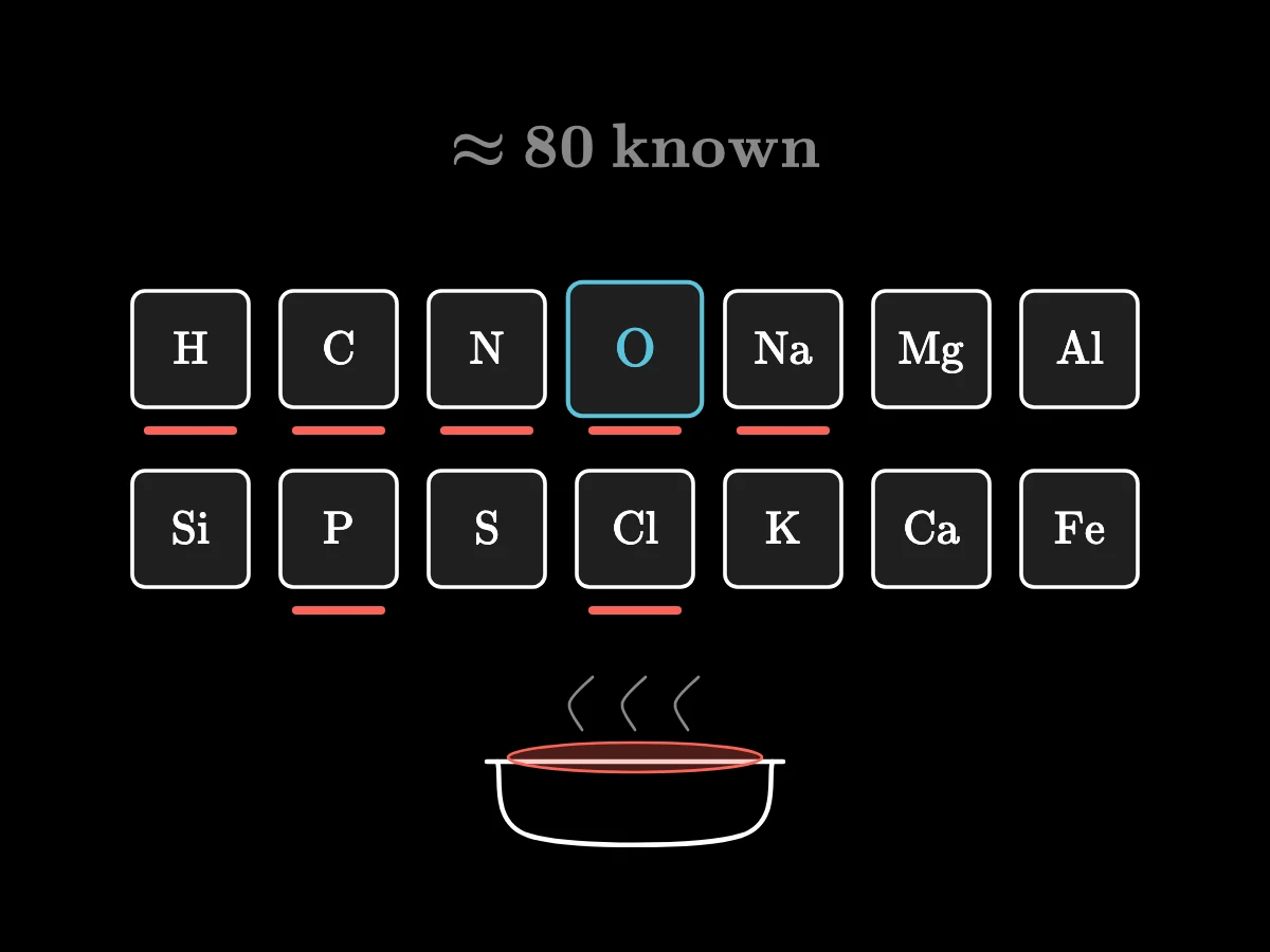 Fourteen tiles with the signs of the commonest simple substances, H, C, N, O, Na, Mg, Al, Si, P, S, Cl, K, Ca and Fe, with oxygen drawn largest; several light up for a bowl of salted soup.