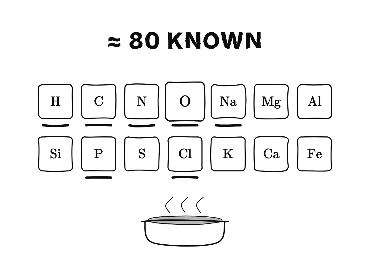 Fourteen tiles with the signs of the commonest simple substances, H, C, N, O, Na, Mg, Al, Si, P, S, Cl, K, Ca and Fe, with oxygen drawn largest; several light up for a bowl of salted soup.