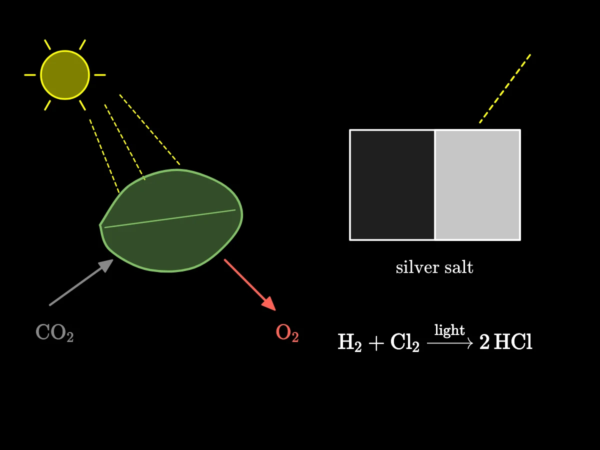 A leaf in sunlight takes in carbon dioxide and gives out oxygen; beside it light darkens a silver salt, as in a photograph, and makes chlorine and hydrogen combine.