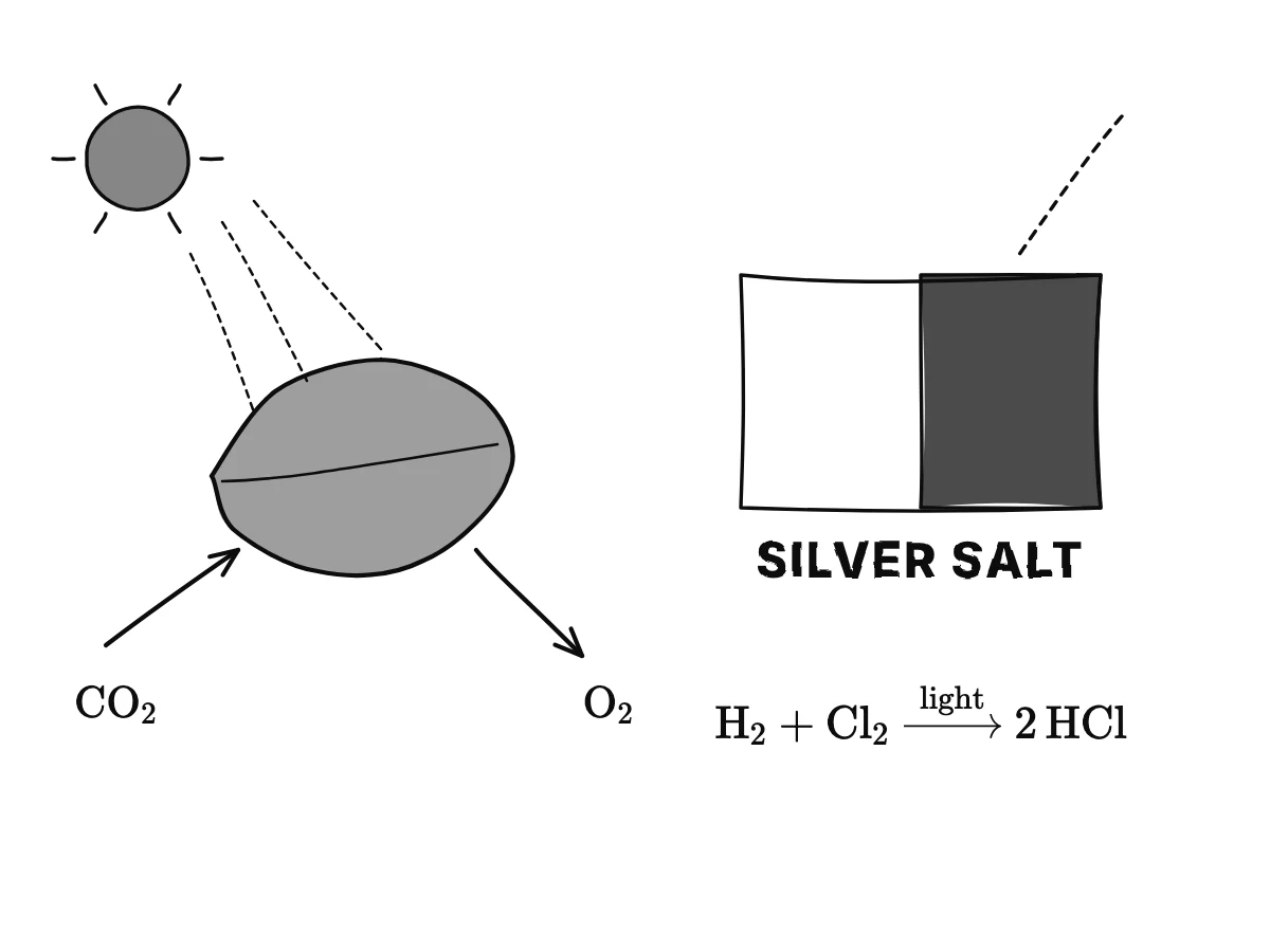 A leaf in sunlight takes in carbon dioxide and gives out oxygen; beside it light darkens a silver salt, as in a photograph, and makes chlorine and hydrogen combine.