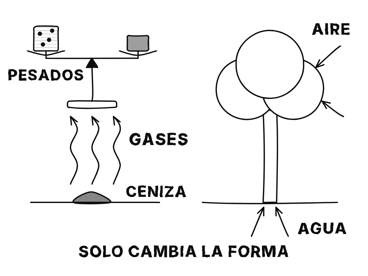 A la izquierda, un tronco ardiendo se convierte en un poco de ceniza mientras flechas de humo llevan los gases hacia arriba; a la derecha, una semilla se convierte en árbol mientras flechas traen aire por las hojas y agua por las raíces.
