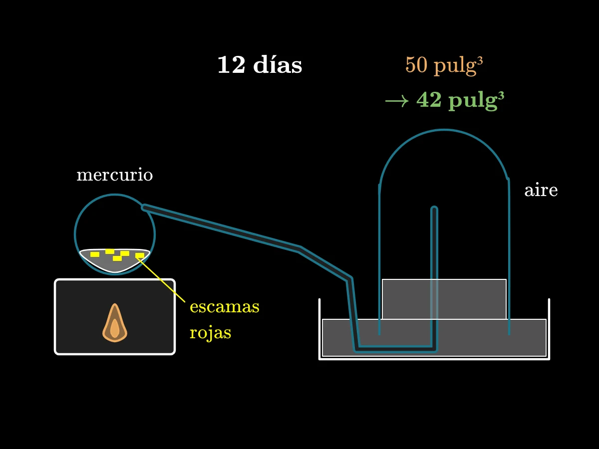 Una retorta con mercurio sobre un horno, con su largo cuello doblado que sube hasta una campana colocada en un plato de mercurio; el aire de la campana se reduce de 50 a 42 pulgadas cúbicas mientras se forman escamas rojas sobre el mercurio.