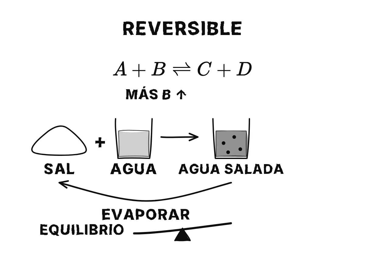 A + B y C + D unidos por un par de flechas opuestas; debajo, sal que se disuelve en agua y el agua que se evapora dejando otra vez la sal.