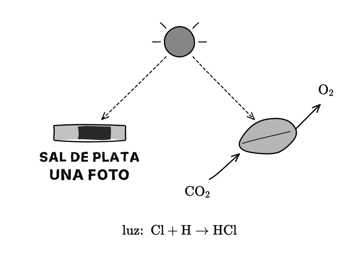 Izquierda: la luz cae sobre una placa fotográfica de sal de plata que se oscurece; derecha: una hoja al sol toma gas carbónico y desprende oxígeno.