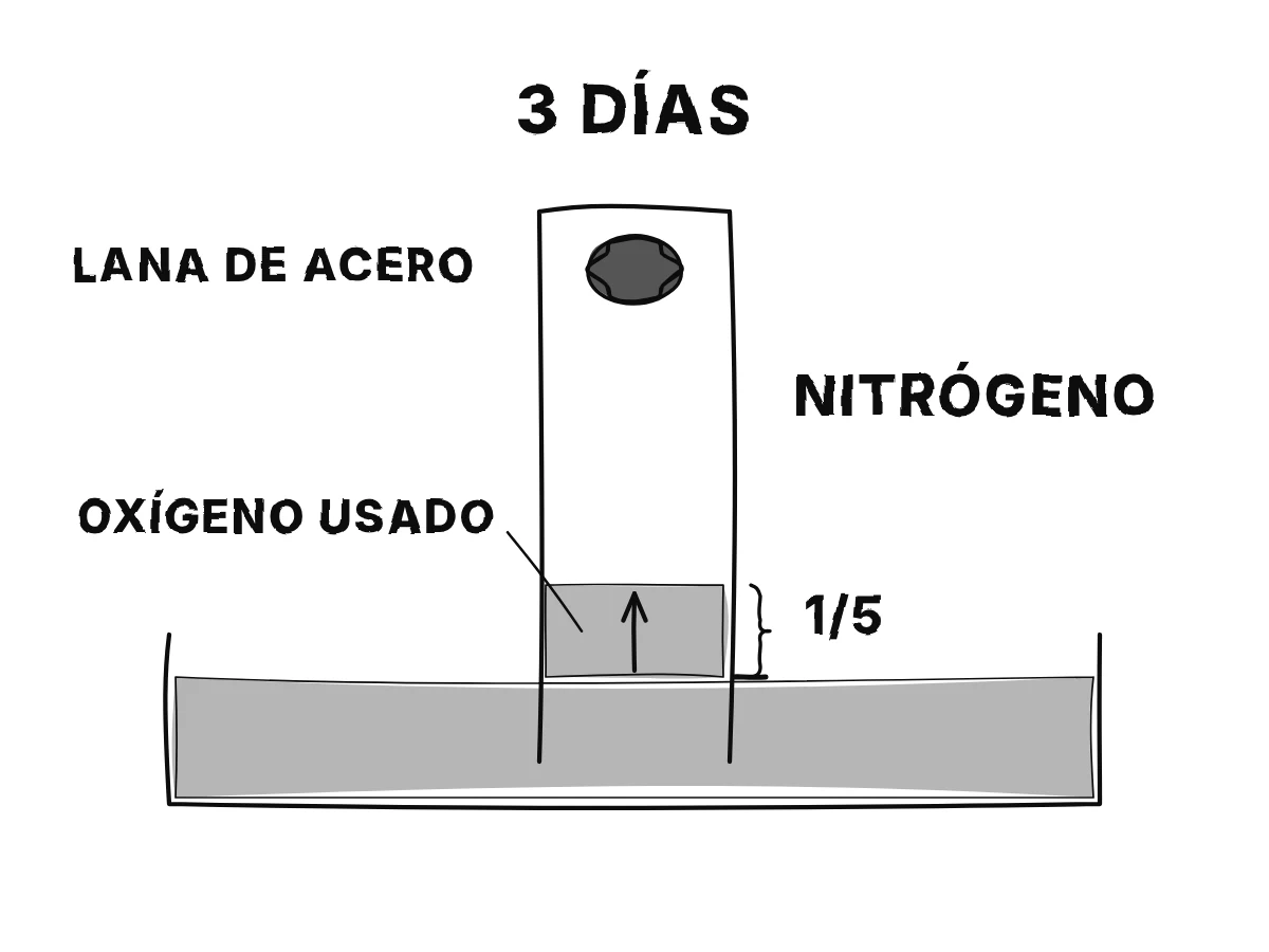 Un frasco estrecho boca abajo en un plato de agua con lana de acero arriba; días después la lana se oxida y el agua sube una quinta parte.
