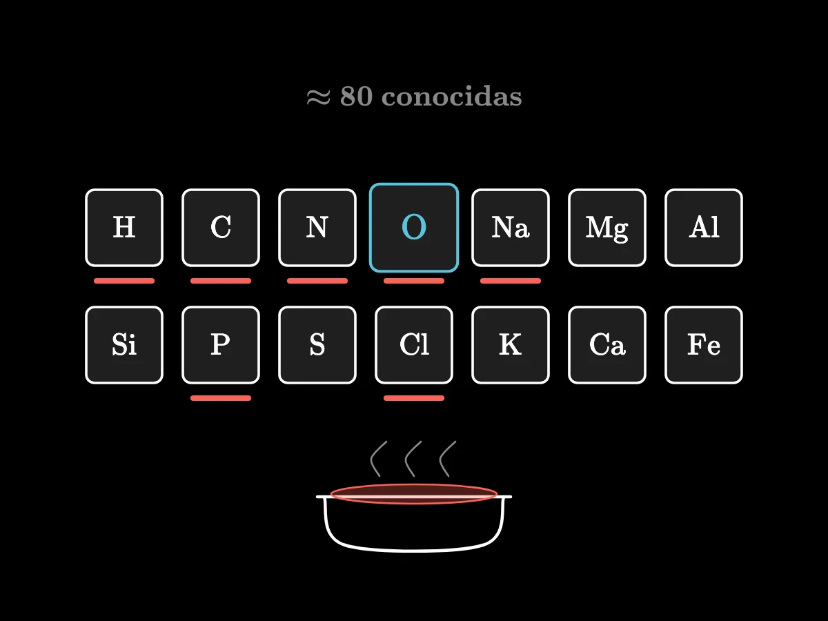 Catorce fichas con los signos de las sustancias simples más comunes, H, C, N, O, Na, Mg, Al, Si, P, S, Cl, K, Ca y Fe, con el oxígeno dibujado más grande; varias se iluminan por un plato de sopa salada.