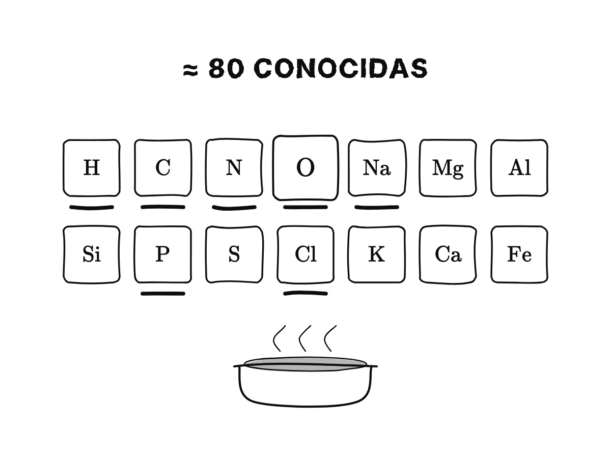 Catorce fichas con los signos de las sustancias simples más comunes, H, C, N, O, Na, Mg, Al, Si, P, S, Cl, K, Ca y Fe, con el oxígeno dibujado más grande; varias se iluminan por un plato de sopa salada.