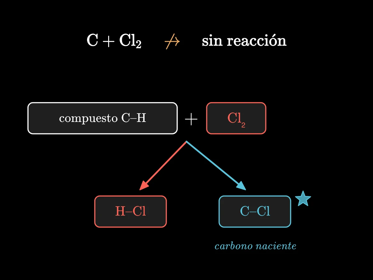 El cloro y el carbono sólido no reaccionan, mostrado con una flecha tachada; pero el cloro que actúa sobre un compuesto de carbono e hidrógeno se lleva el hidrógeno, y el carbono liberado en ese momento se une al resto del cloro.