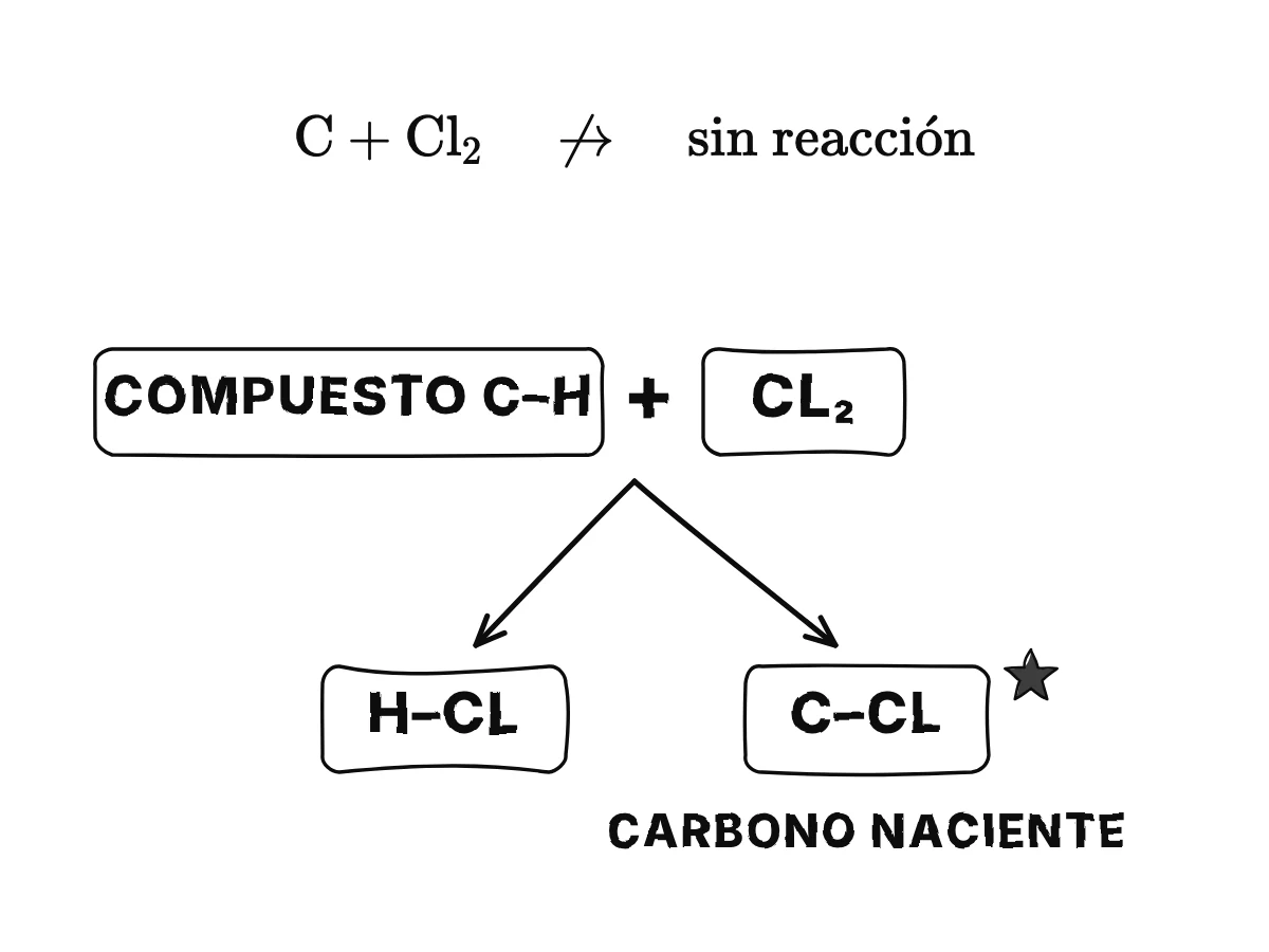 El cloro y el carbono sólido no reaccionan, mostrado con una flecha tachada; pero el cloro que actúa sobre un compuesto de carbono e hidrógeno se lleva el hidrógeno, y el carbono liberado en ese momento se une al resto del cloro.