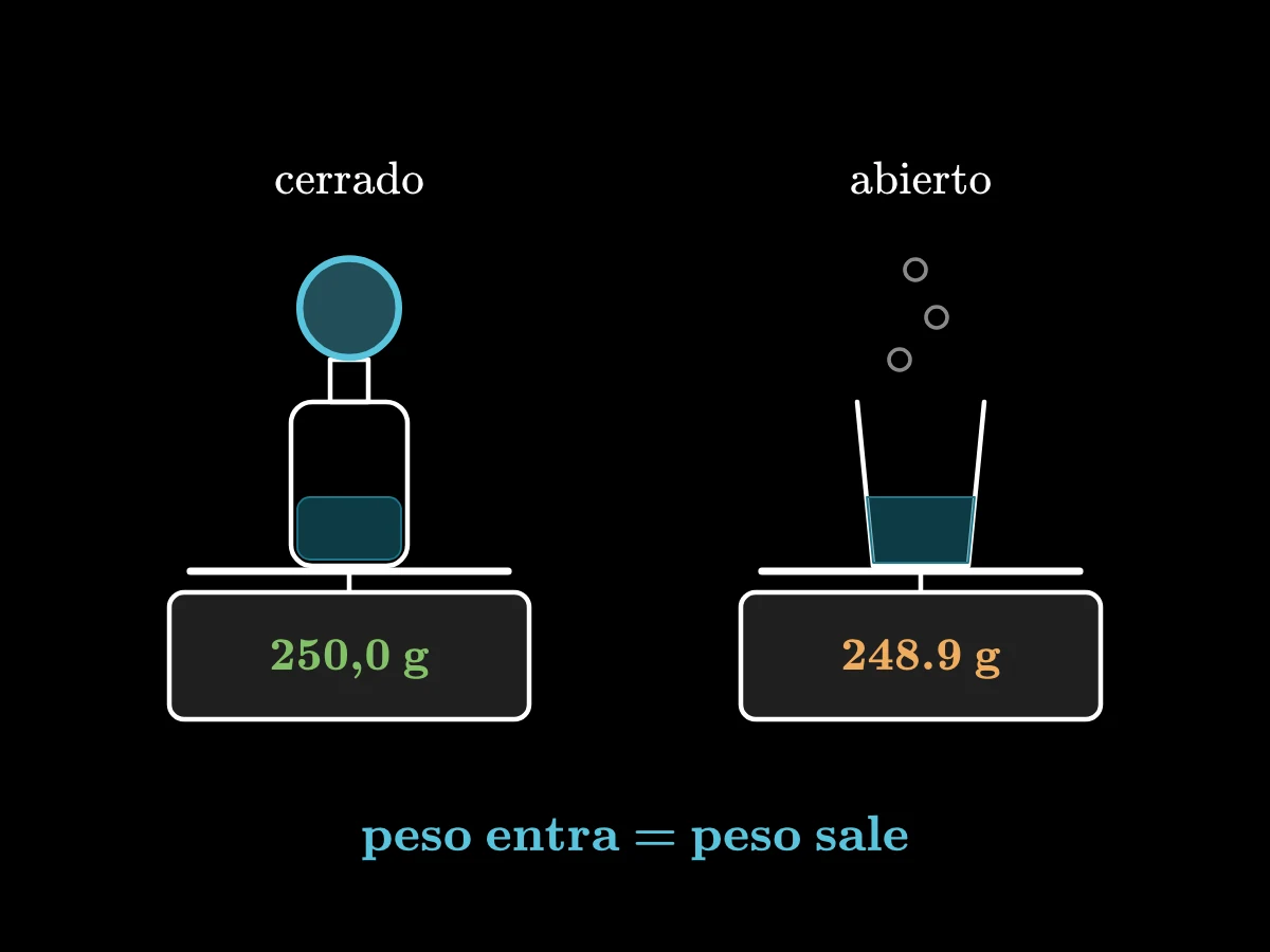 Dos básculas de cocina: una botella cerrada con un globo sigue marcando 250,0 gramos; un vaso abierto burbujea y su lectura baja a 248,9 gramos; debajo, «peso entra = peso sale».