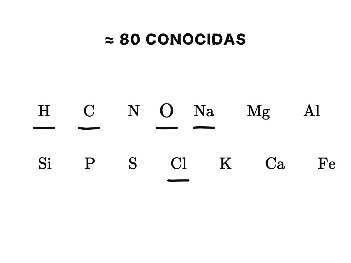 Catorce fichas con los signos de las sustancias simples más comunes, H, C, N, O, Na, Mg, Al, Si, P, S, Cl, K, Ca y Fe, con el oxígeno dibujado más grande; cinco de ellas, H, O, Na, Cl y C, se iluminan por el agua, la sal y un lápiz.