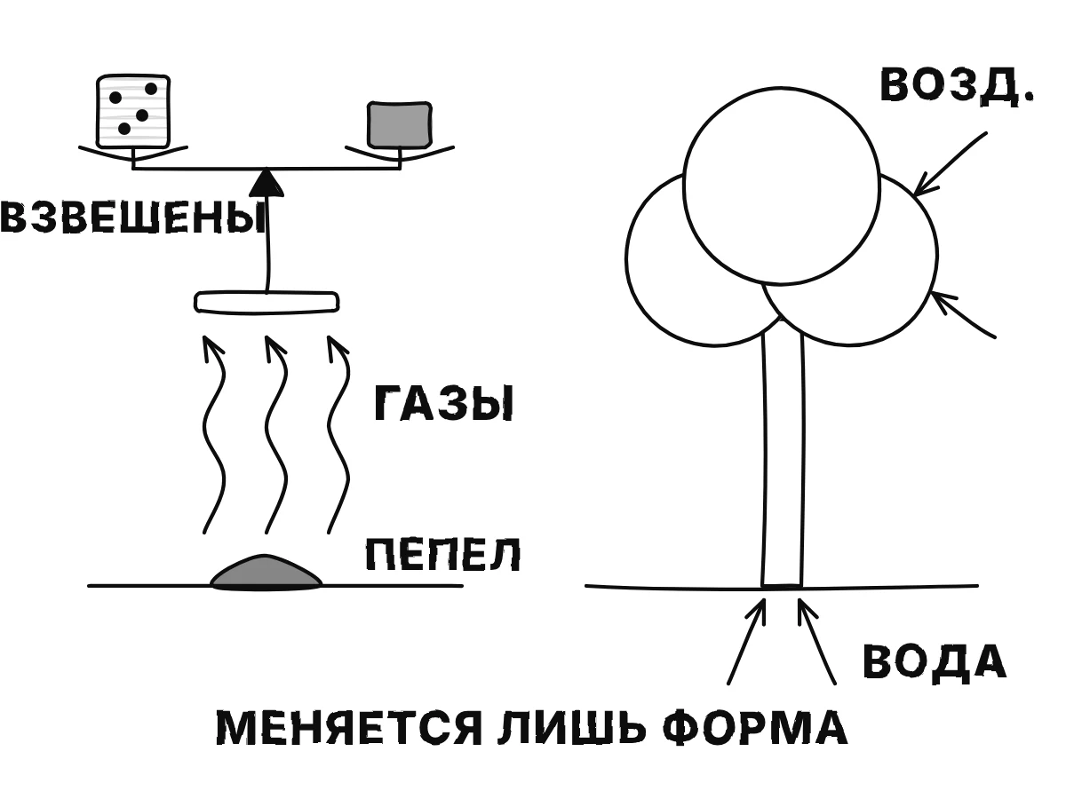 Слева горящее полено становится горсткой пепла, а стрелки дыма уносят газы вверх; справа зерно становится деревом, а стрелки приносят воздух через листья и воду через корни.