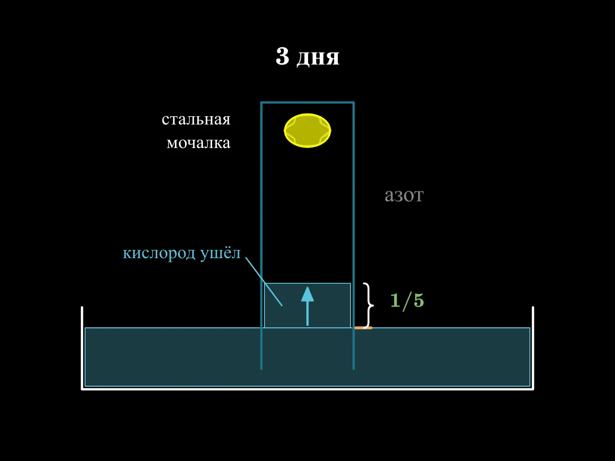 Узкая банка стоит вверх дном в чашке с водой, вверху стальная мочалка; через несколько дней мочалка ржавеет, а вода поднимается на пятую часть высоты.
