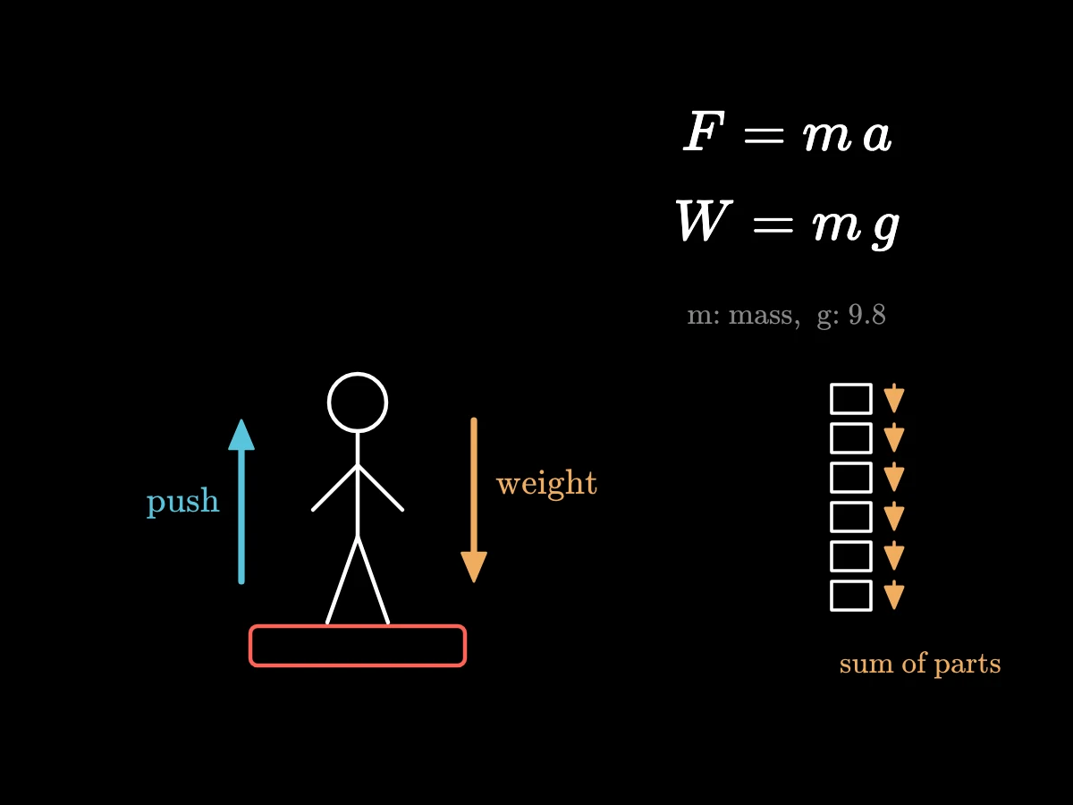 A person on a bathroom scale that pushes up as hard as gravity pulls down; below, F equals m a and W equals m g, and the pull on a whole body as the sum of pulls on its parts.
