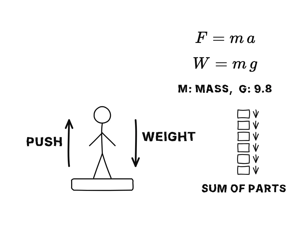 A person on a bathroom scale that pushes up as hard as gravity pulls down; below, F equals m a and W equals m g, and the pull on a whole body as the sum of pulls on its parts.