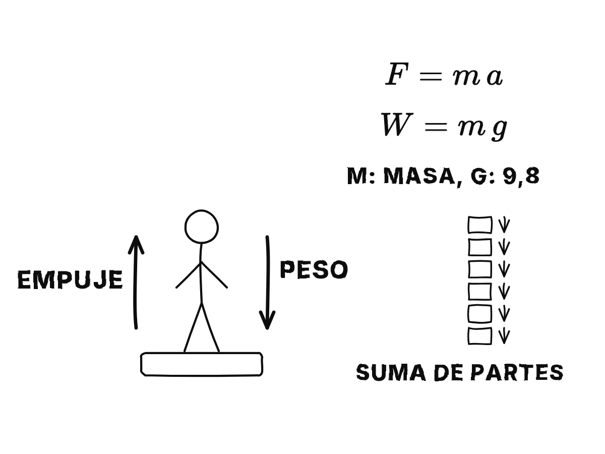Una persona sobre una báscula de baño que empuja hacia arriba tanto como la gravedad tira hacia abajo; debajo, F igual a m a y W igual a m g, y el tirón sobre un cuerpo entero como la suma de los tirones sobre sus partes.