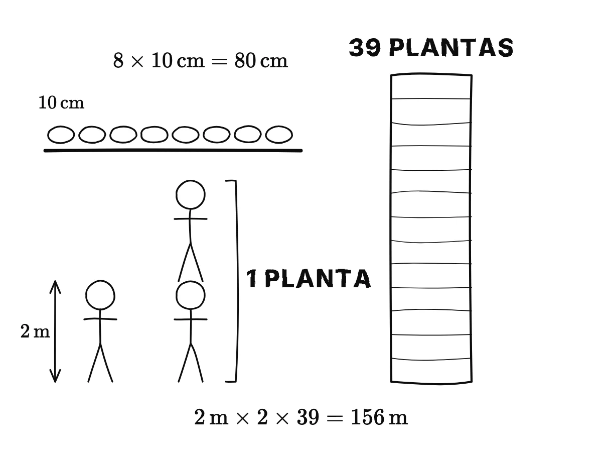 Una persona de 2 m, una planta como dos personas y un edificio alto de 39 plantas; 2 m × 2 × 39 = 156 m.