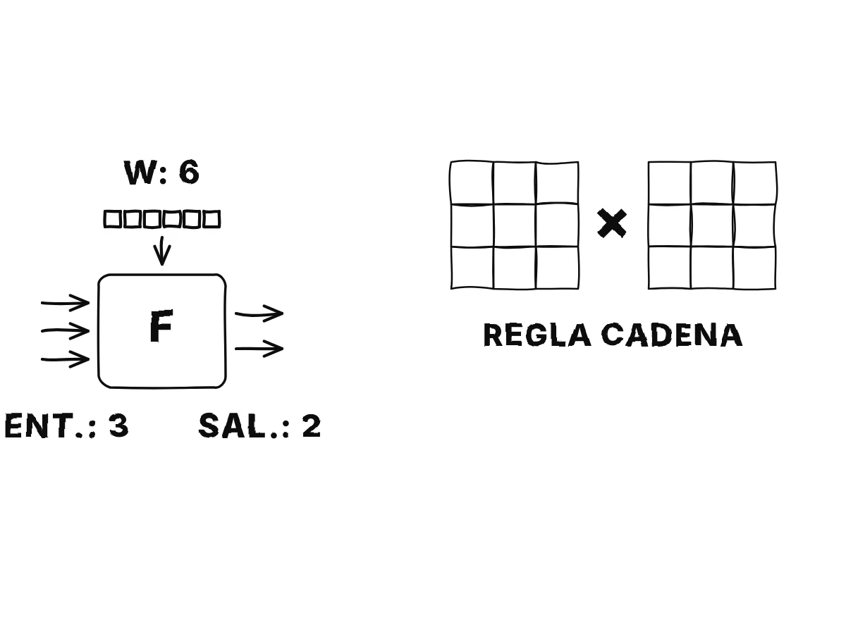 Una caja con tres entradas, seis pesos y dos salidas; a su lado una cuadrícula de 2 por 3 casillas para el jacobiano de entrada y una de 2 por 6 casillas para el jacobiano de los pesos.