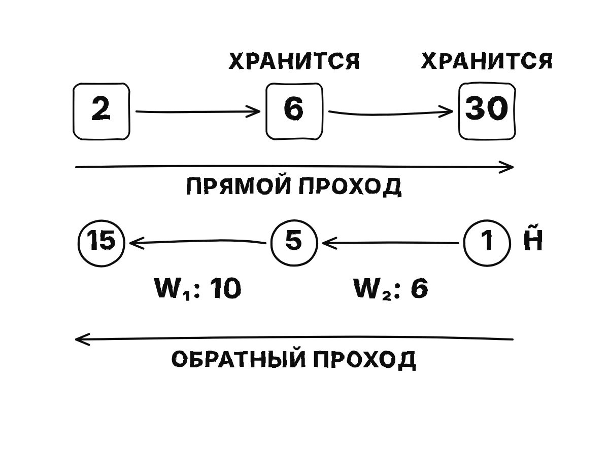 Цепочка 2, умножить на 3, умножить на 5 даёт 6 и 30; затем красные стрелки идут назад от конца, неся 1, 5 и 15, и выдают градиенты 6 для w2 и 10 для w1.