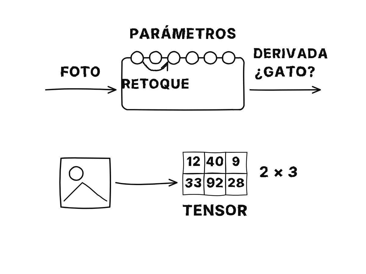 Una caja con muchas perillas recibe una foto y devuelve «gato»; tras una respuesta errónea una flecha gira una perilla; debajo, una foto se convierte en una cuadrícula de números rotulada «tensor».